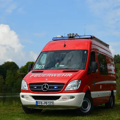 elw_vor_weiher.jpg