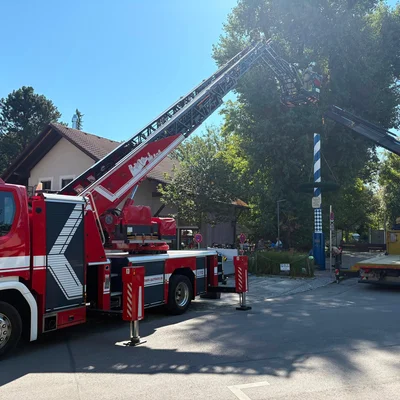 2026.08.16_Maibaum_01.jpg