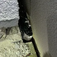 20220211_katze_01.jpg